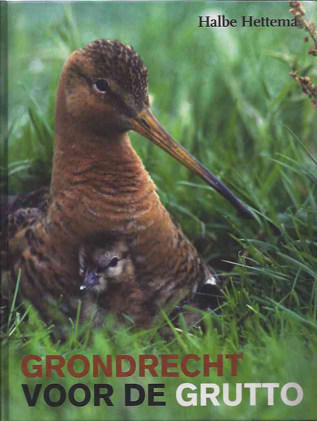 Hettema, Halbe - Grondrecht voor de Grutto.