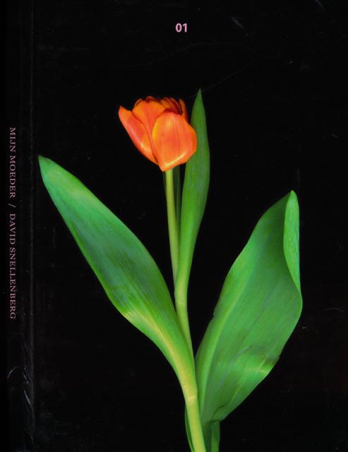 Snellenberg, David - Mijn Moeder.