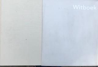 Strien, van Danille & P.F de Graaf. (concept) - Witboek.