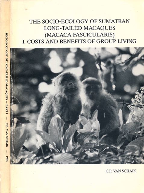 Schaik, C.P - The Socio-ecology of Sumatran long-tailed macaques (Maca Fascicularis) I. Costs and Benefits of group living.