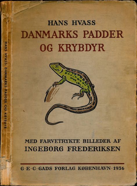 Hvass, Hans - Danmarks Padder og Krybdyr. Met 6 farvetrykte Tavler af Ingeborg Frederiksen samt 110 Fotografier.