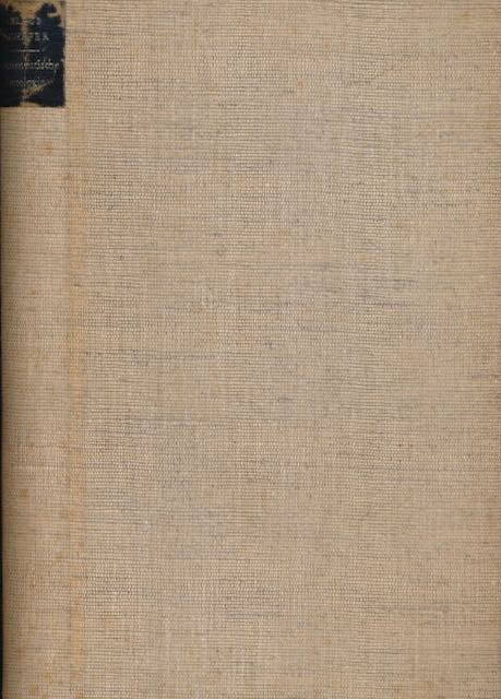 Schfer, Klaus - Hermeneutische Ontologie in den Climacus-Schriften Sren Kierkegaards.